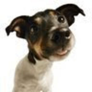 Meet your Posher, Cade